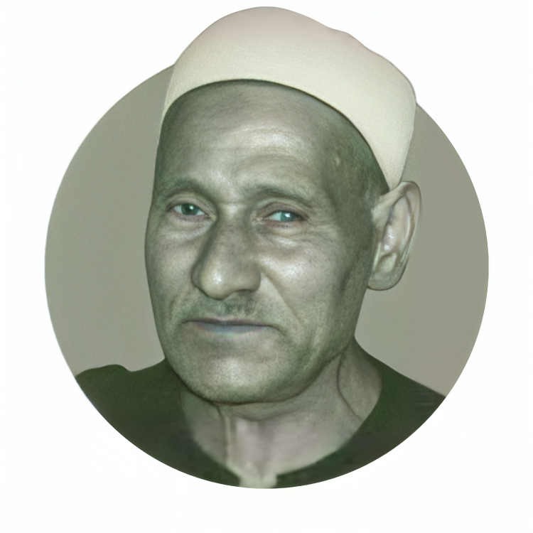 الشيخ محمد سلامة